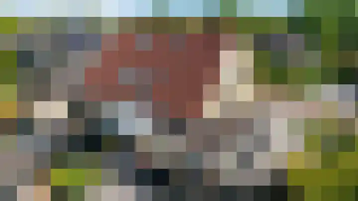 De strekel 13 Steenwijk thumbnail 53