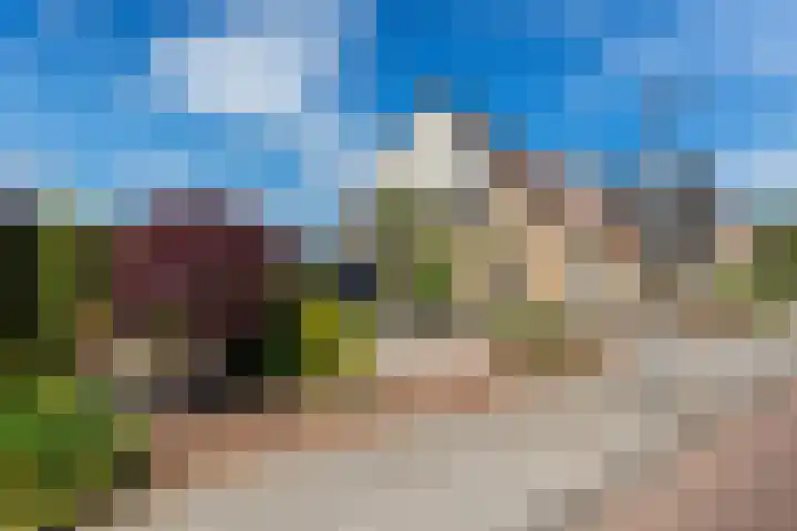 De strekel 13 Steenwijk thumbnail 54