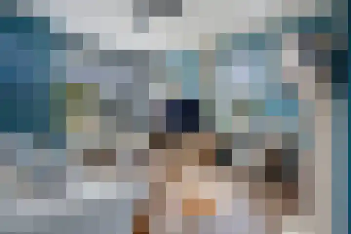 De strekel 13 Steenwijk thumbnail 8