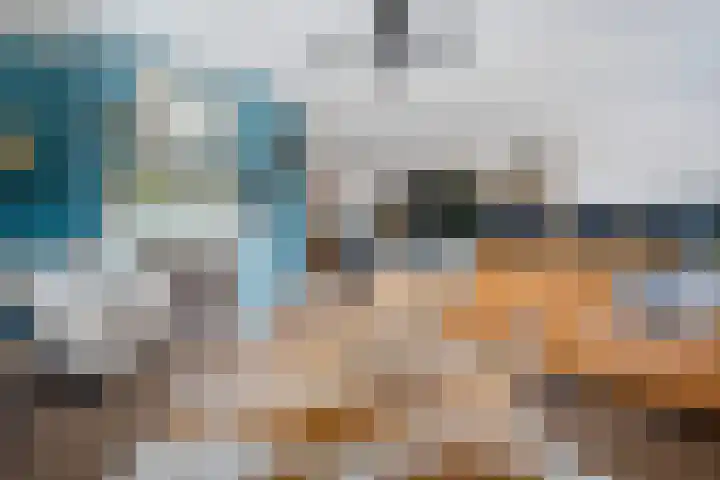 De strekel 13 Steenwijk thumbnail 9
