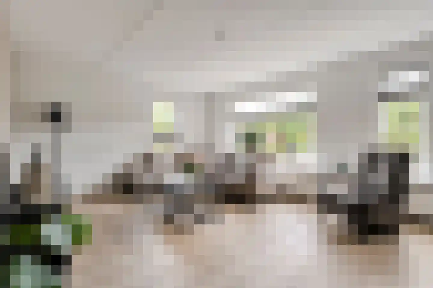 De strekel 23 Steenwijk thumbnail 10