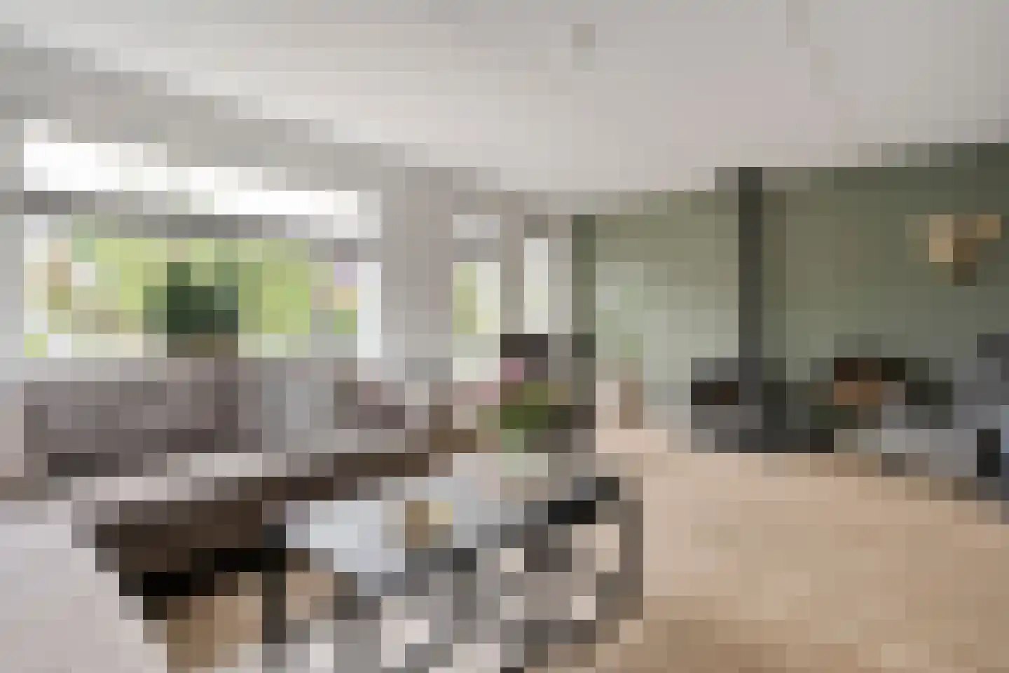 De strekel 23 Steenwijk thumbnail 11