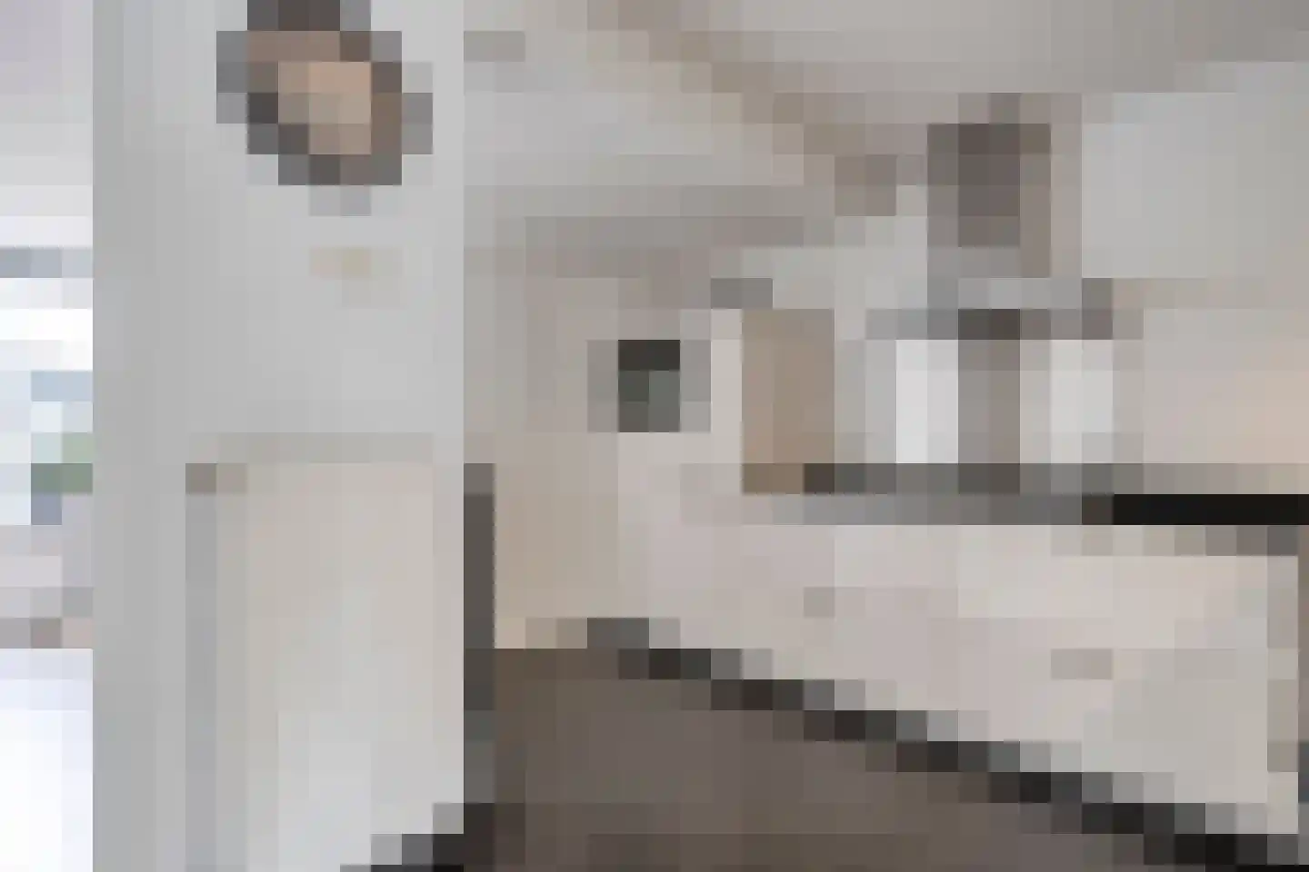 De strekel 23 Steenwijk thumbnail 16