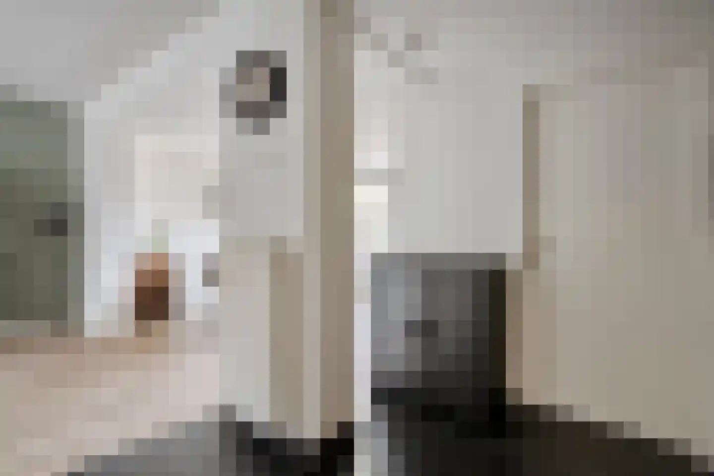 De strekel 23 Steenwijk thumbnail 18