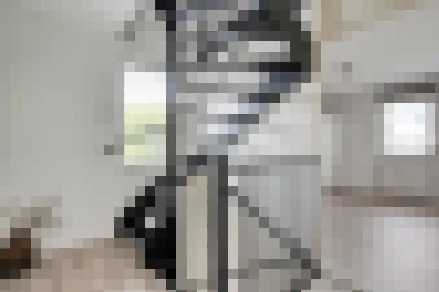 De strekel 23 Steenwijk thumbnail 25