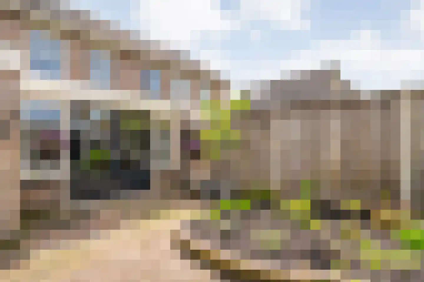 De strekel 23 Steenwijk thumbnail 39
