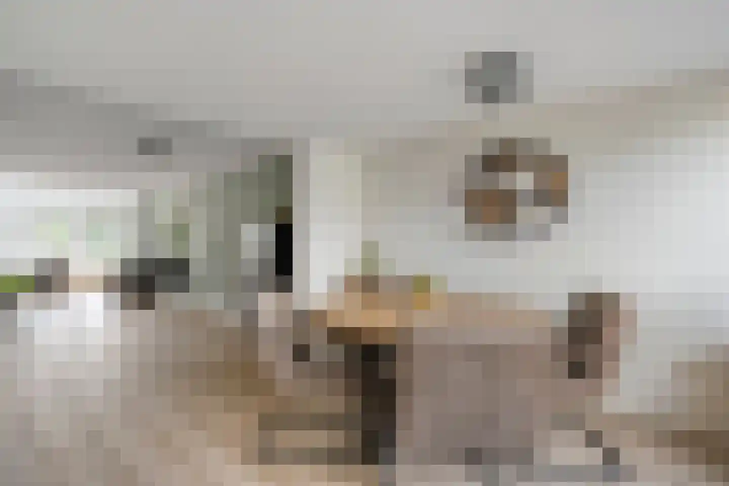 De strekel 23 Steenwijk thumbnail 4