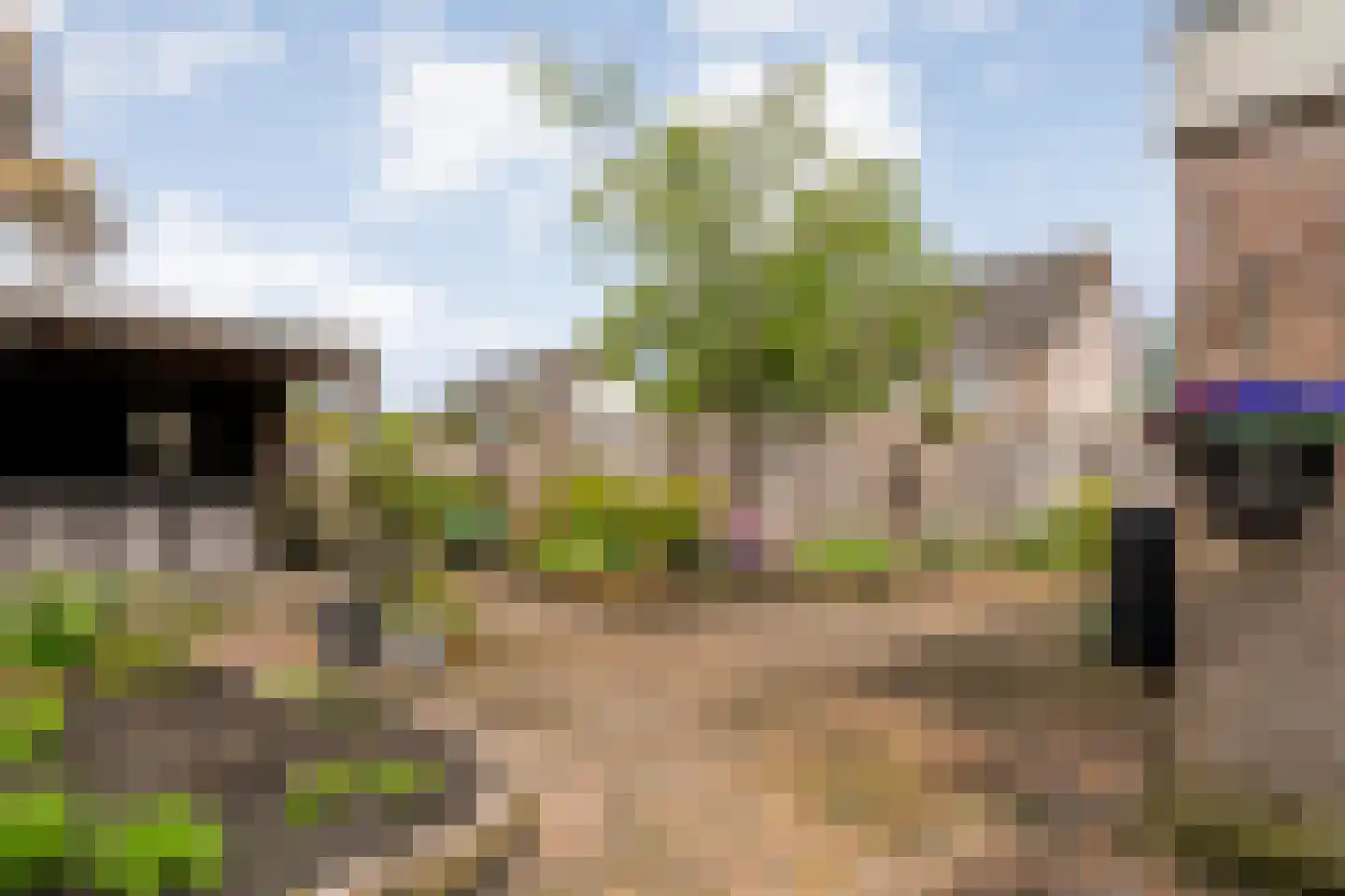 De strekel 23 Steenwijk thumbnail 40