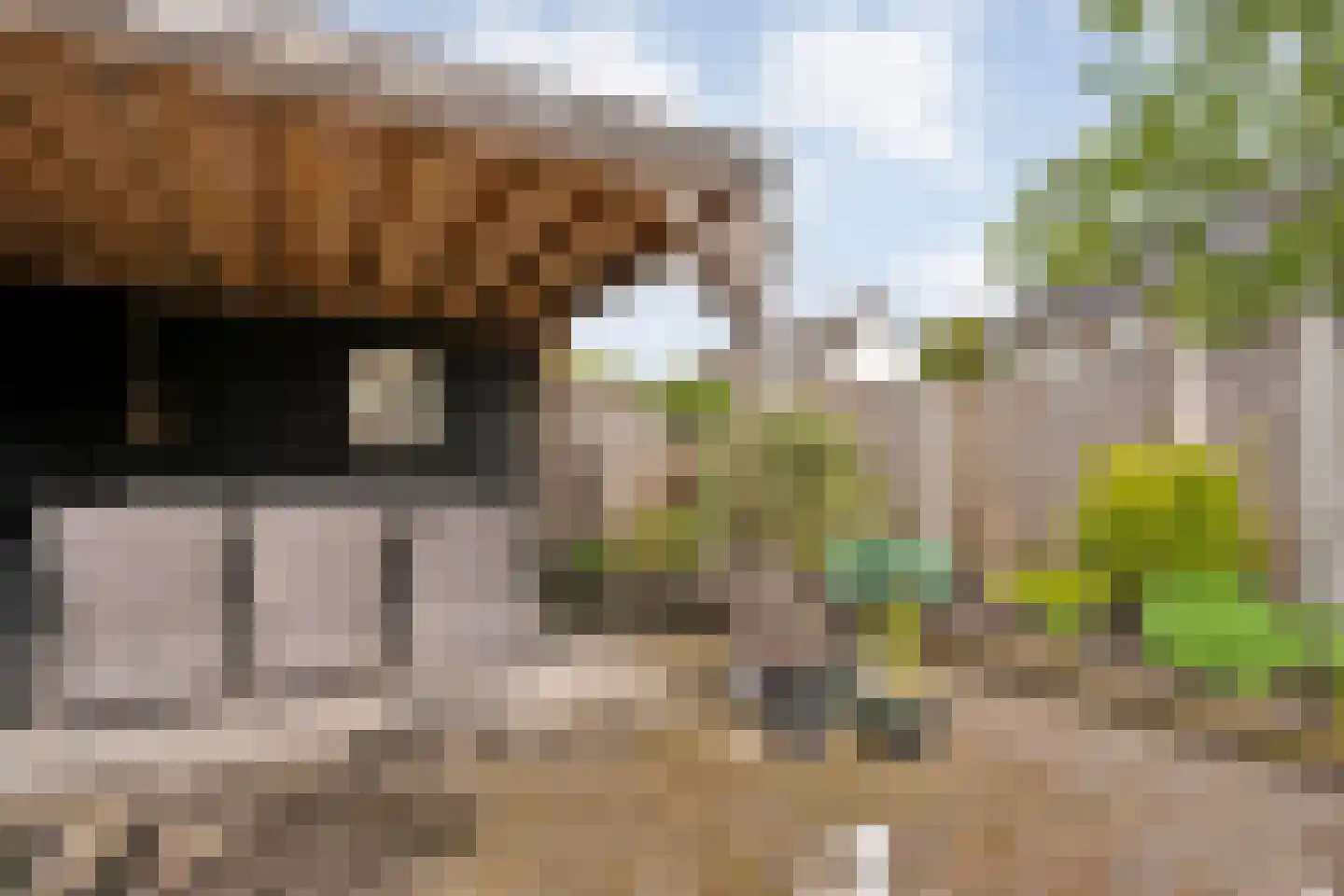 De strekel 23 Steenwijk thumbnail 41