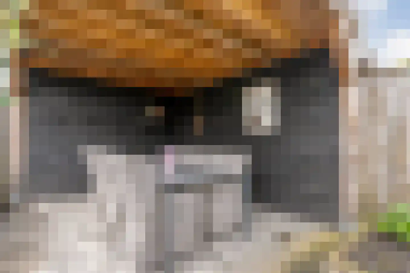 De strekel 23 Steenwijk thumbnail 42