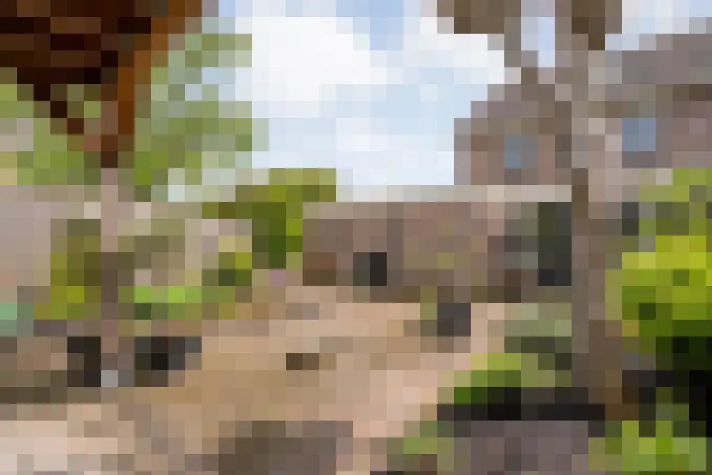 De strekel 23 Steenwijk thumbnail 43