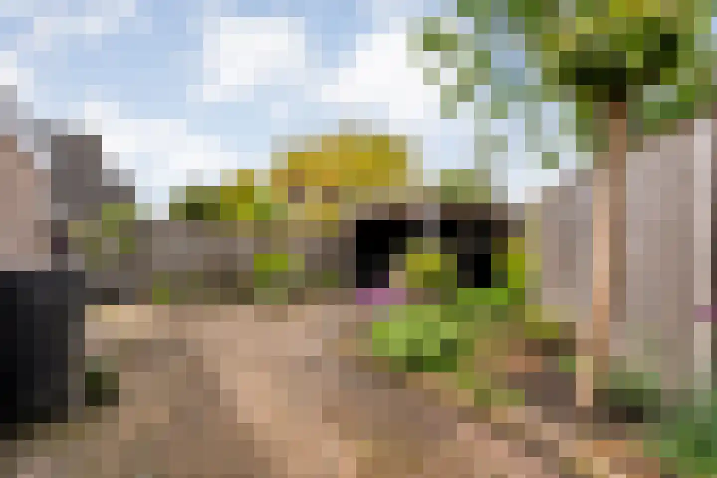 De strekel 23 Steenwijk thumbnail 44