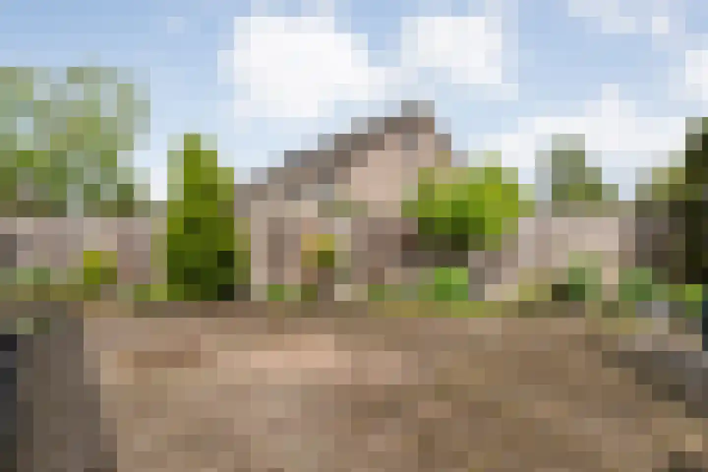 De strekel 23 Steenwijk thumbnail 45