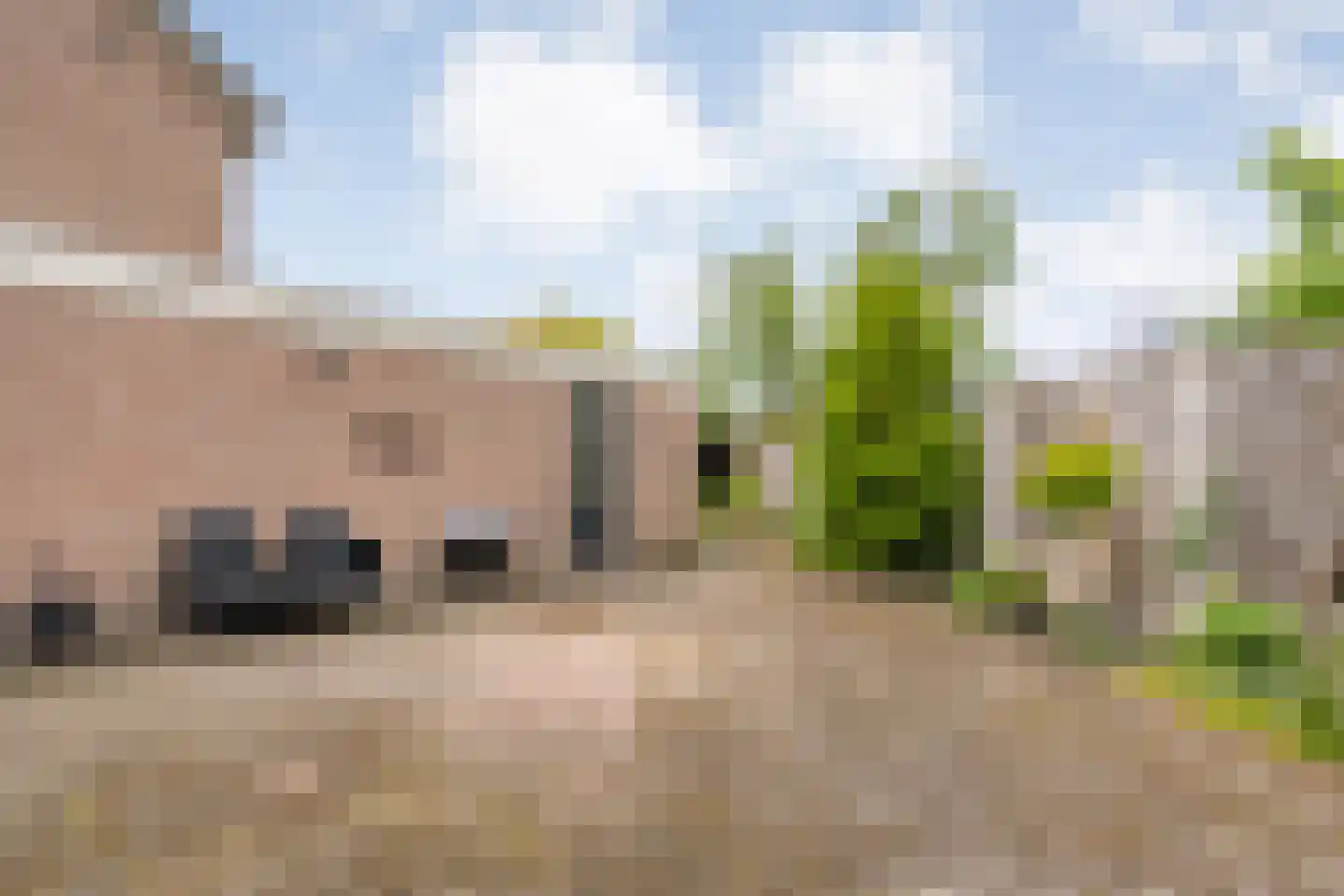 De strekel 23 Steenwijk thumbnail 46