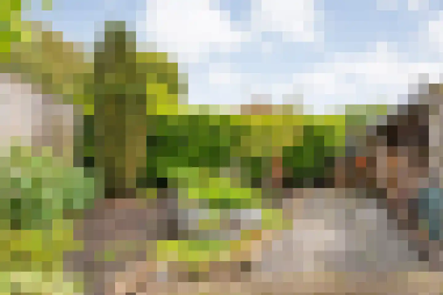 De strekel 23 Steenwijk thumbnail 48