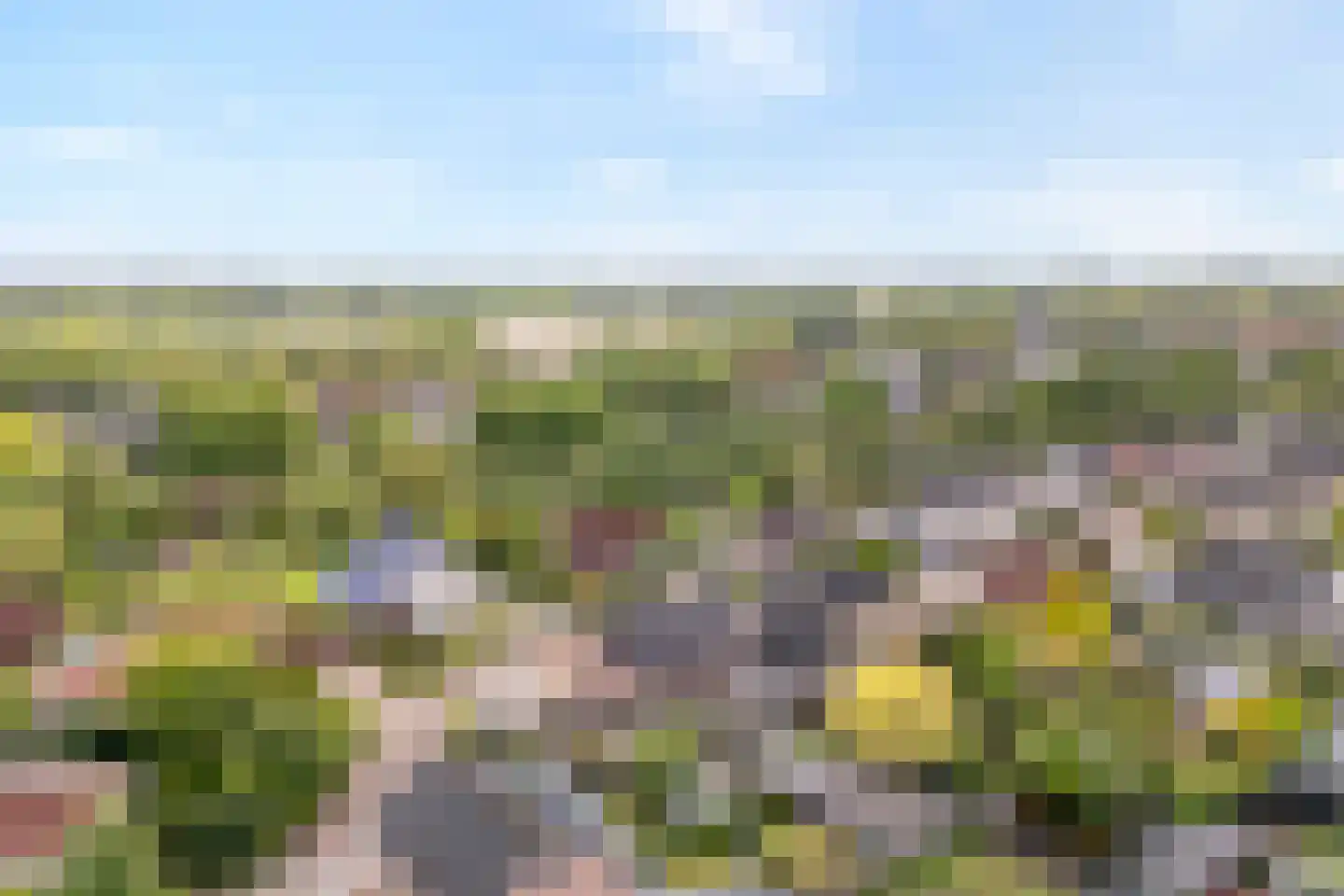 De strekel 23 Steenwijk thumbnail 53