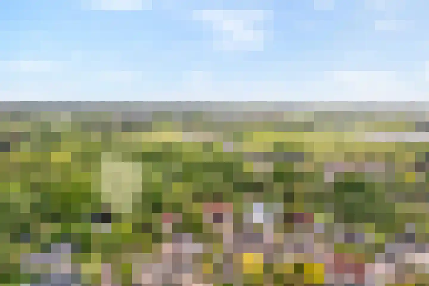 De strekel 23 Steenwijk thumbnail 54