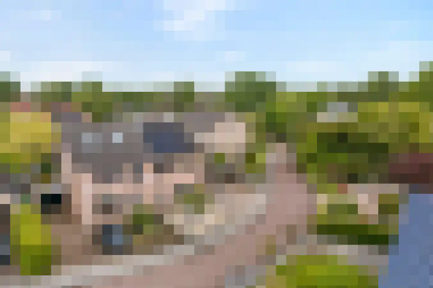 De strekel 23 Steenwijk thumbnail 55
