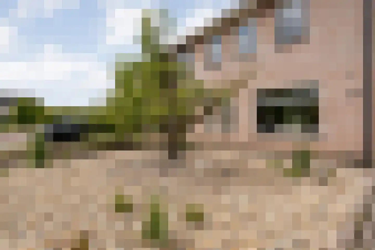 De strekel 23 Steenwijk thumbnail 58