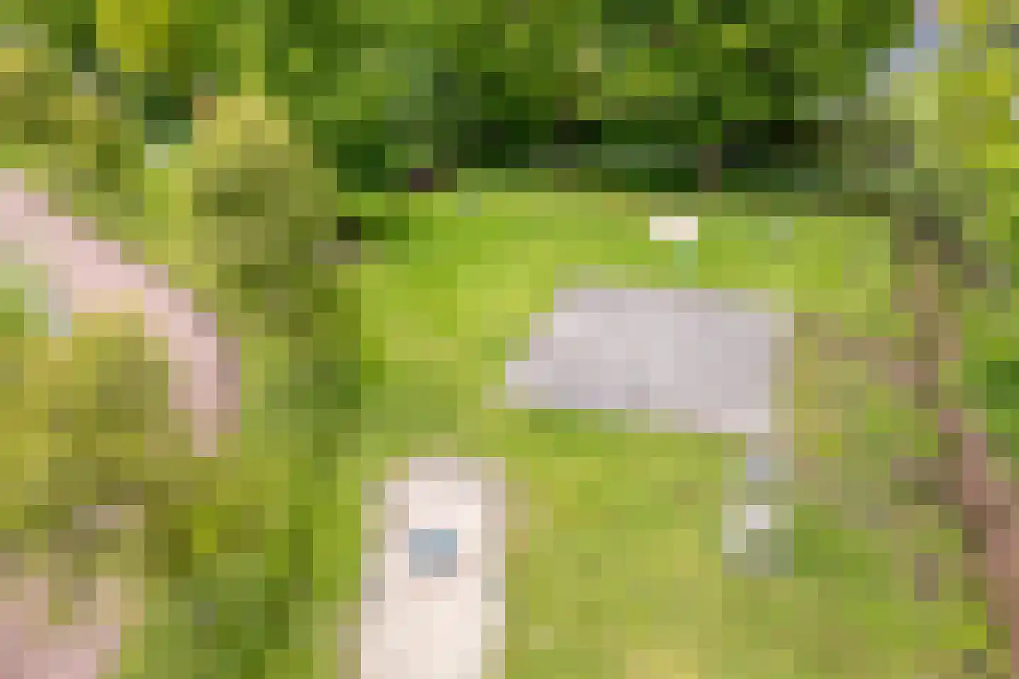 De strekel 23 Steenwijk thumbnail 60