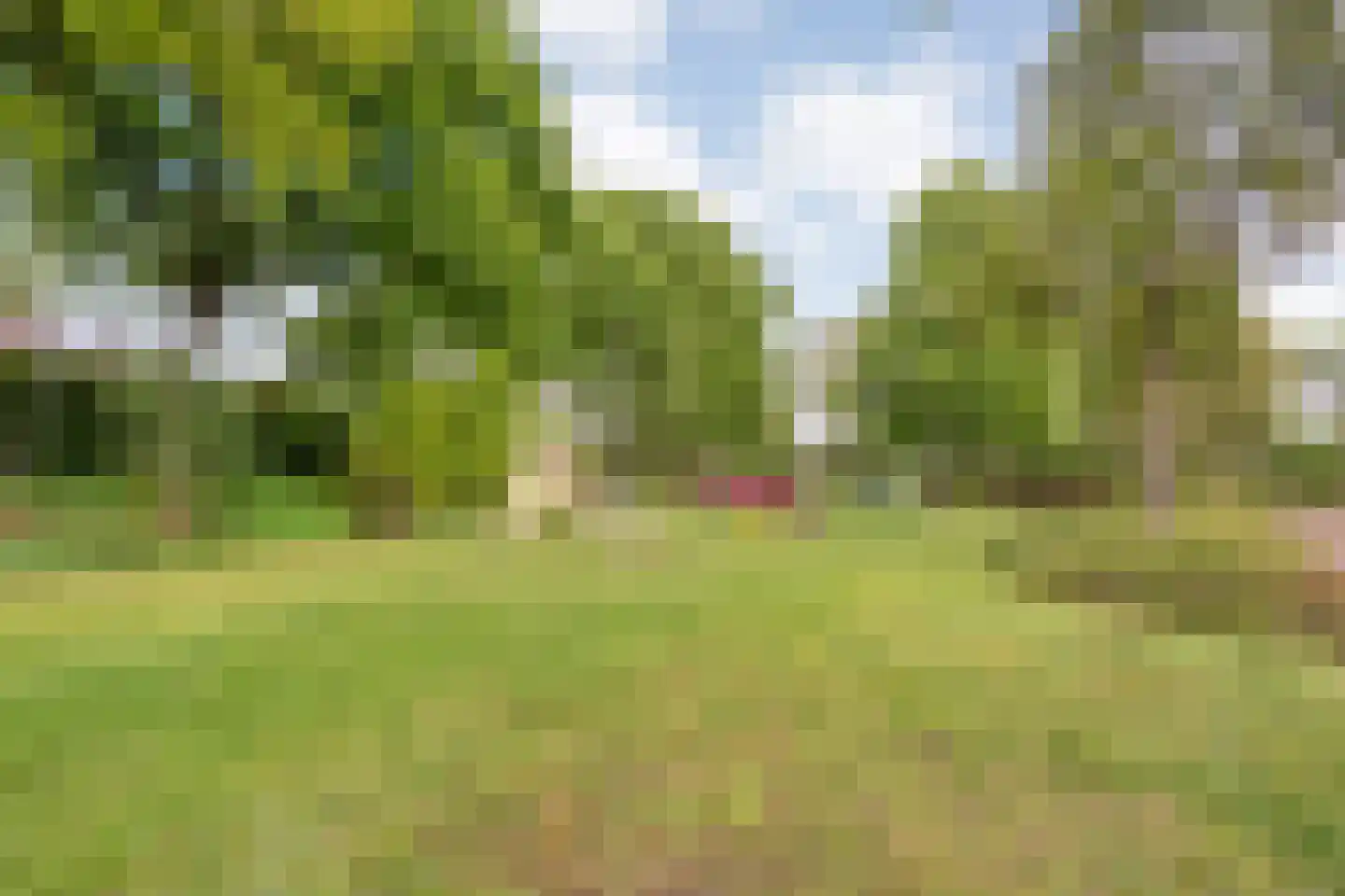 De strekel 23 Steenwijk thumbnail 62