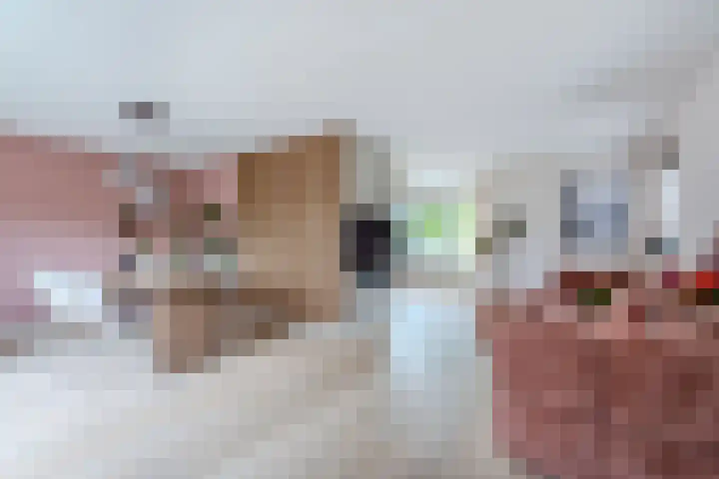 De Strekel 5 Hoogeveen thumbnail 18