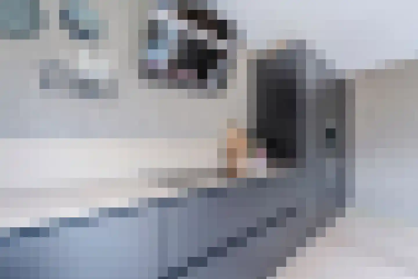 De Strekel 5 Hoogeveen thumbnail 28