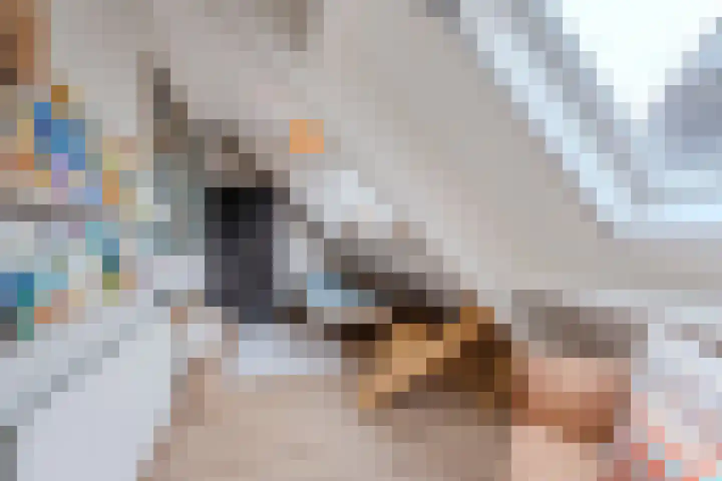 De Strekel 5 Hoogeveen thumbnail 38