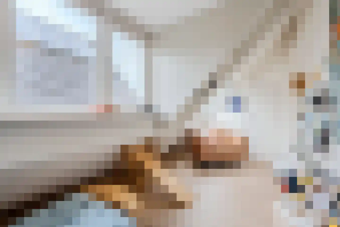 De Strekel 5 Hoogeveen thumbnail 39