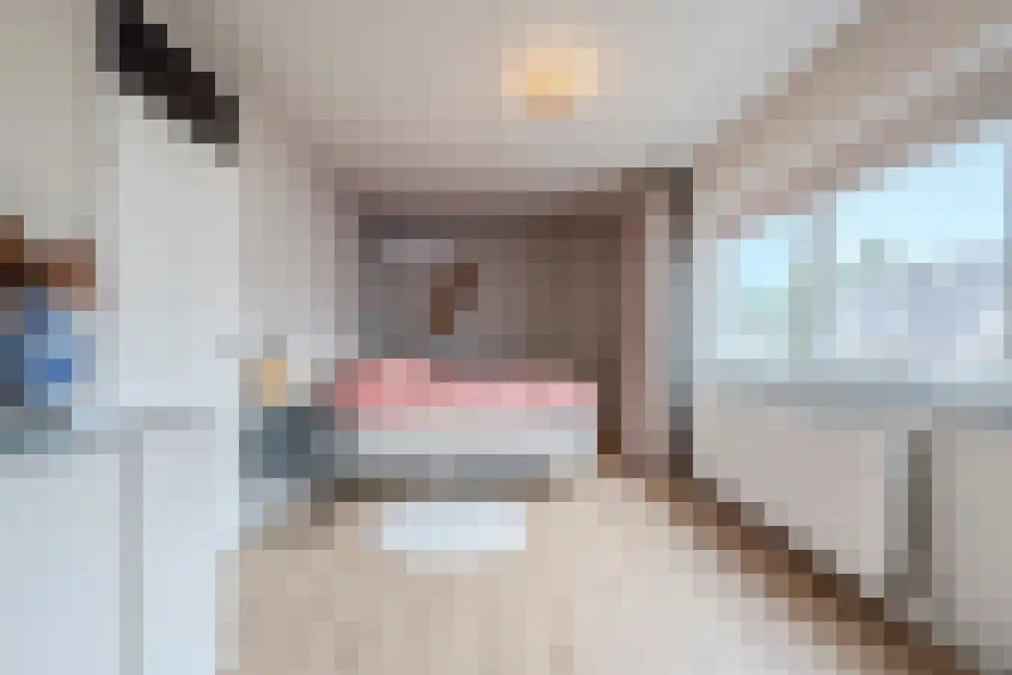 De Strekel 5 Hoogeveen thumbnail 46