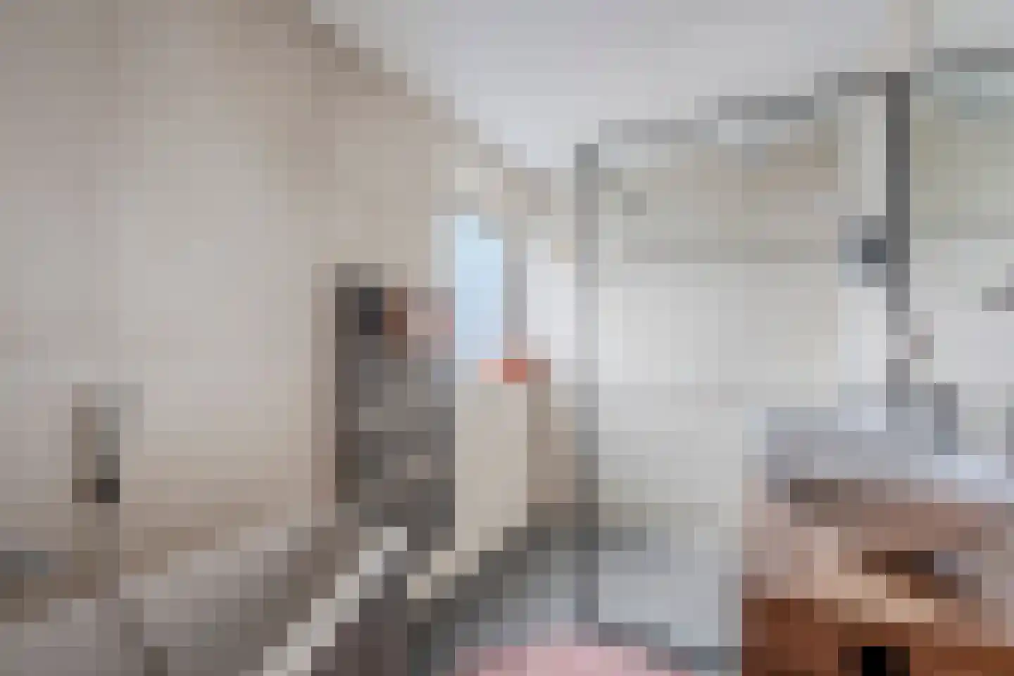 De Strekel 5 Hoogeveen thumbnail 51