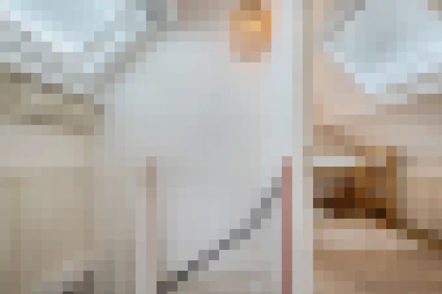 De Strekel 5 Hoogeveen thumbnail 56