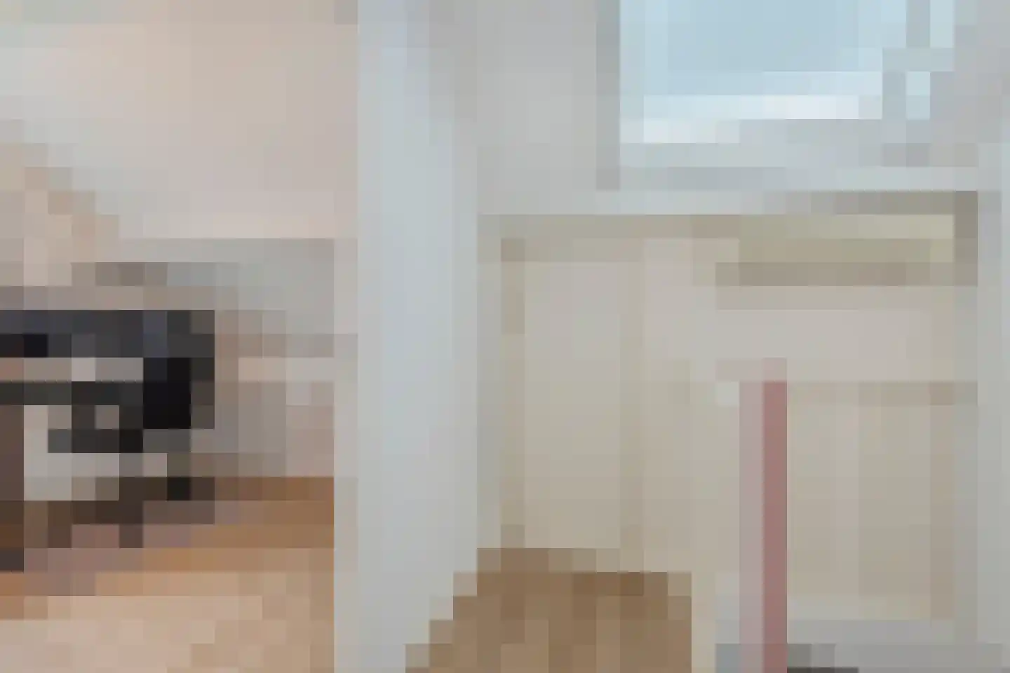 De Strekel 5 Hoogeveen thumbnail 57