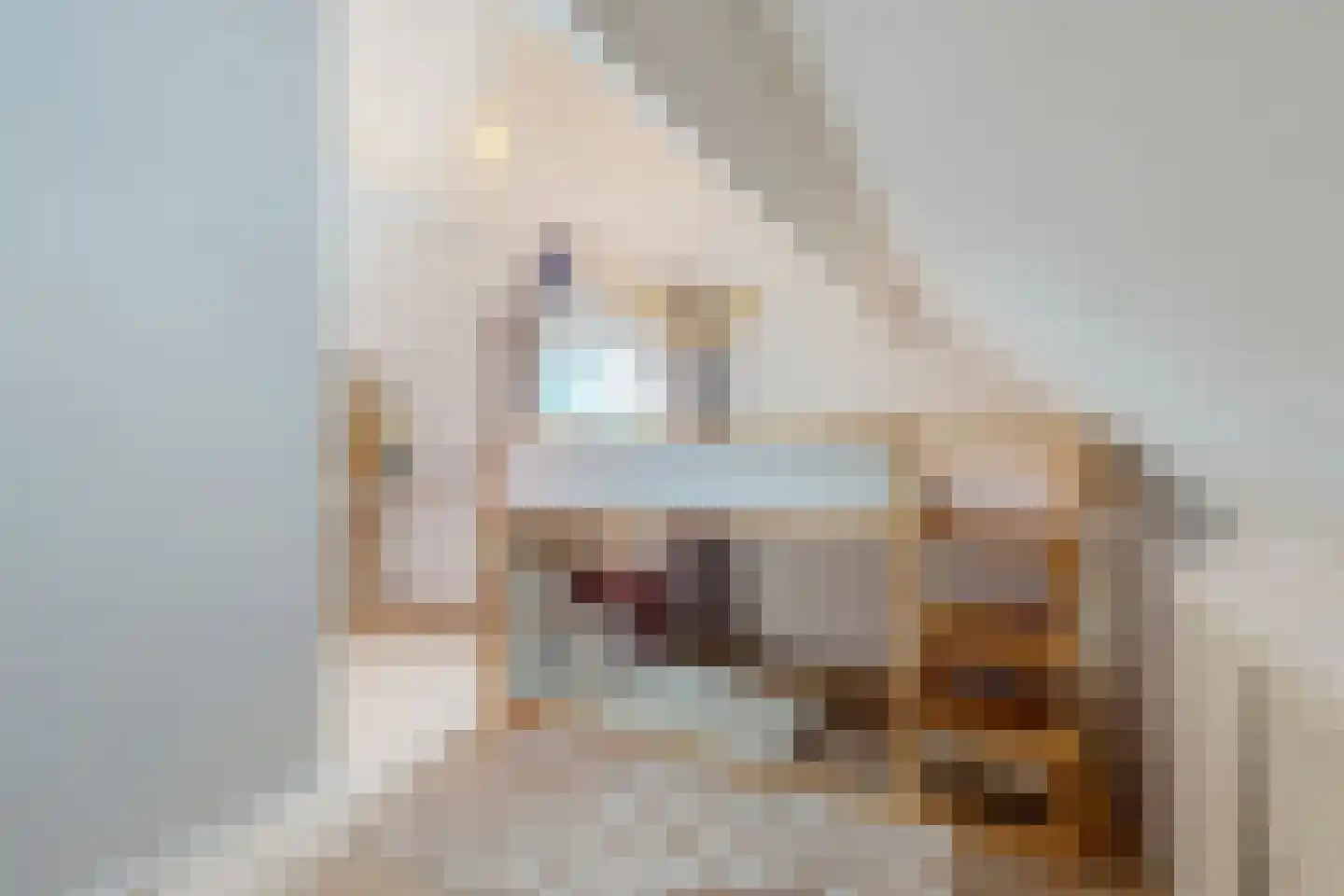 De Strekel 5 Hoogeveen thumbnail 59
