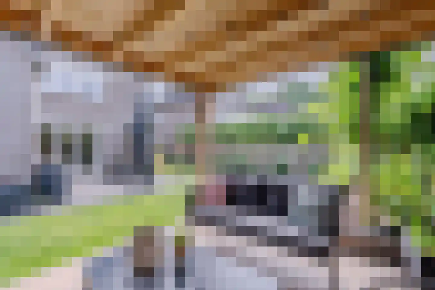 De Strekel 5 Hoogeveen thumbnail 71