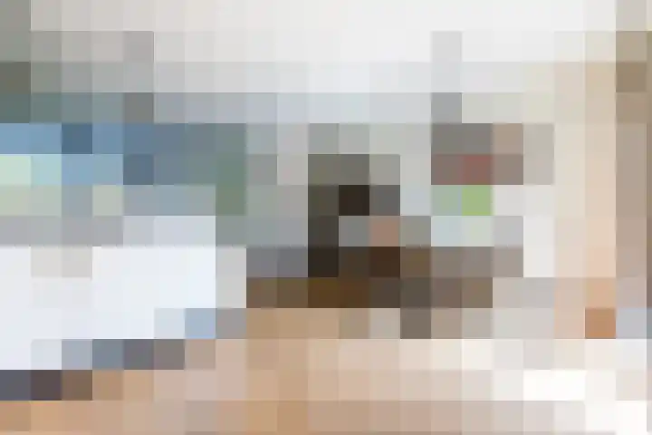 de Strekel 8 Heerhugowaard thumbnail 13