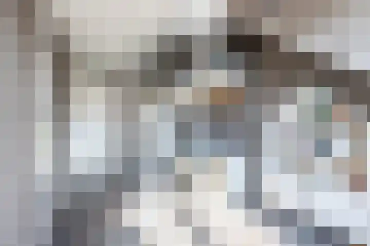 de Strekel 8 Heerhugowaard thumbnail 22
