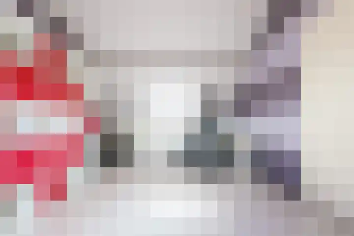 de Strekel 8 Heerhugowaard thumbnail 31