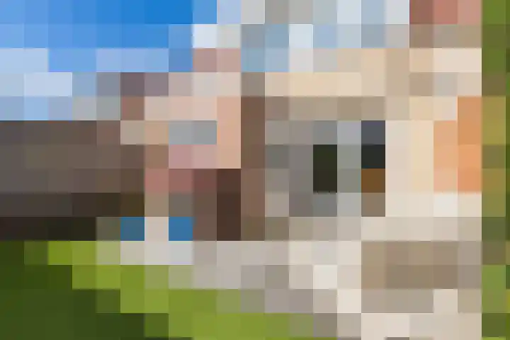 de Strekel 8 Heerhugowaard thumbnail 35