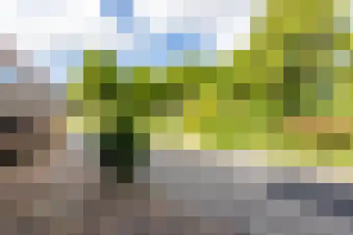 de Strekel 8 Heerhugowaard thumbnail 44
