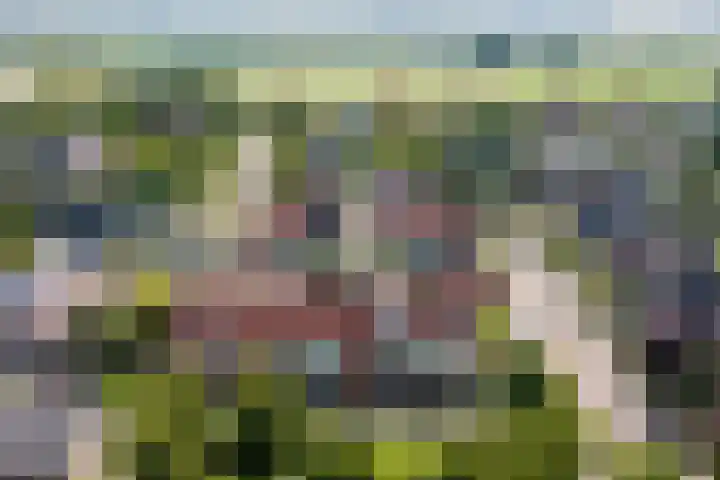 de Strekel 8 Heerhugowaard thumbnail 46