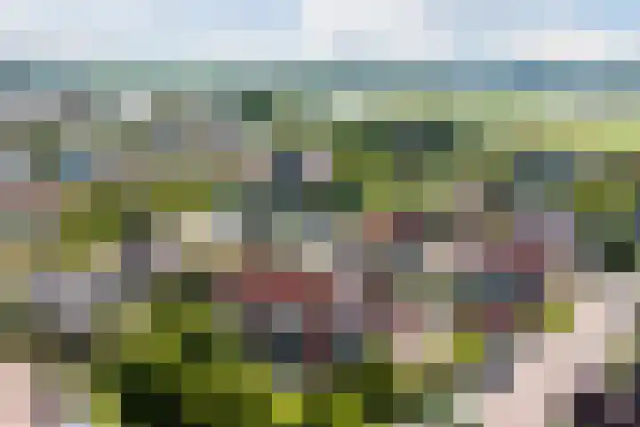 de Strekel 8 Heerhugowaard thumbnail 47