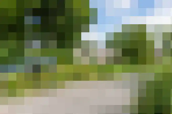 de Strekel 8 Heerhugowaard thumbnail 50