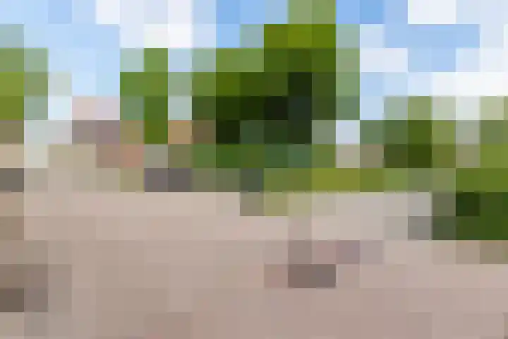 de Strekel 8 Heerhugowaard thumbnail 51