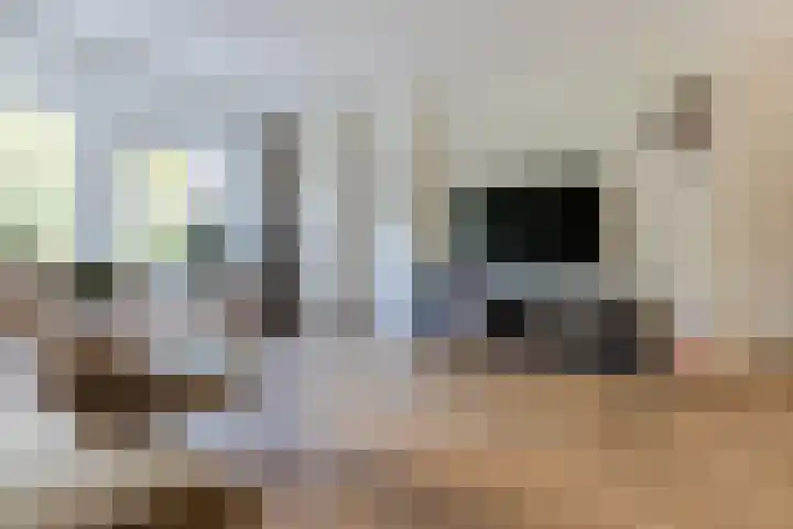 de Strekel 8 Heerhugowaard thumbnail 7
