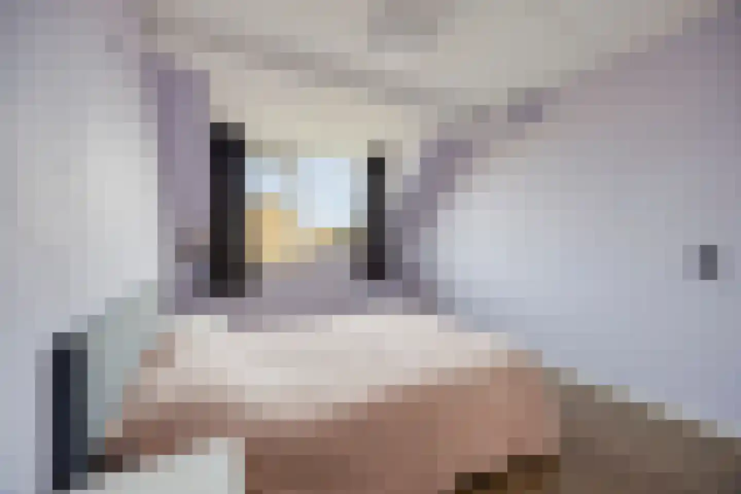 De Streng 12 Waarland thumbnail 18