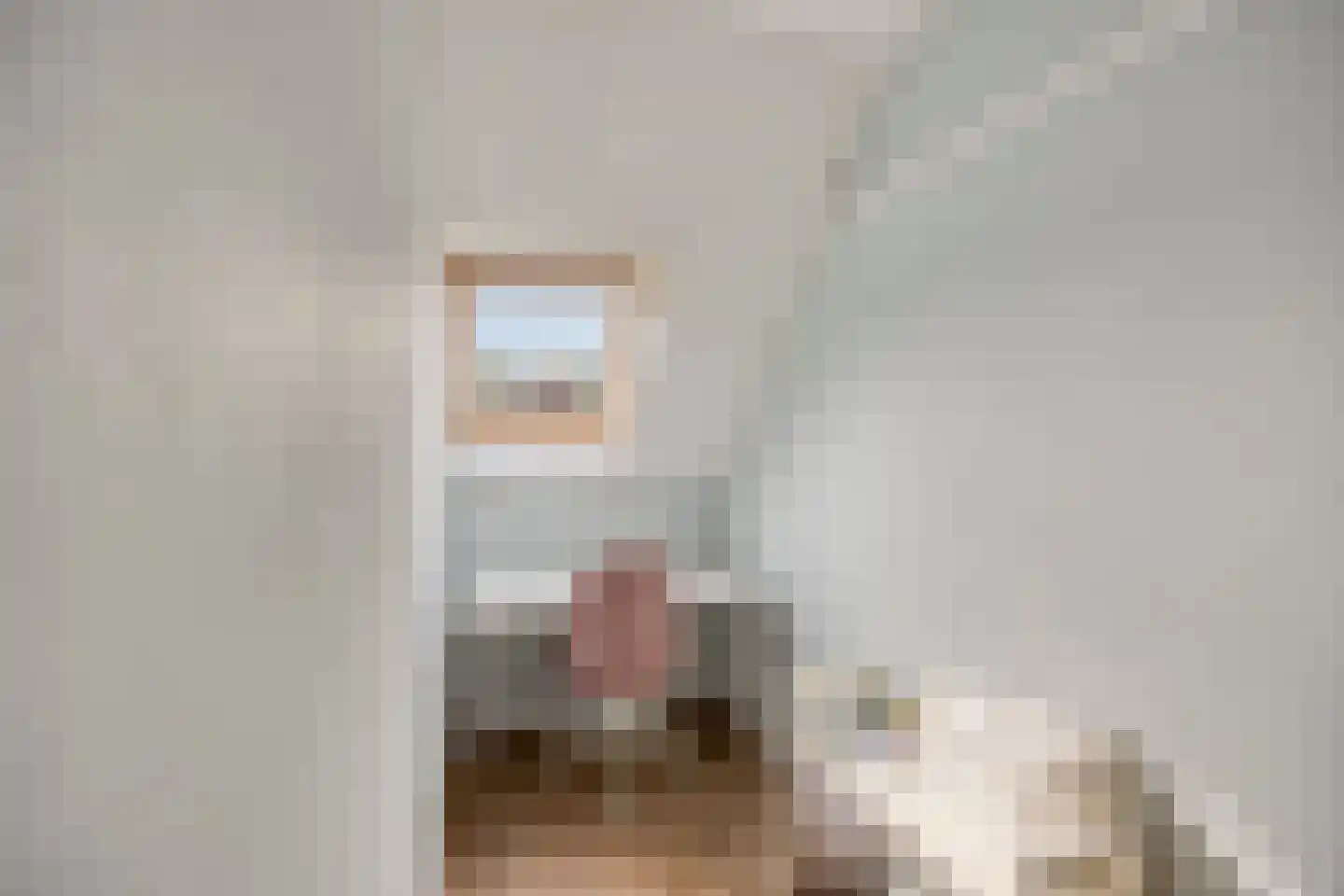 De Streng 12 Waarland thumbnail 20