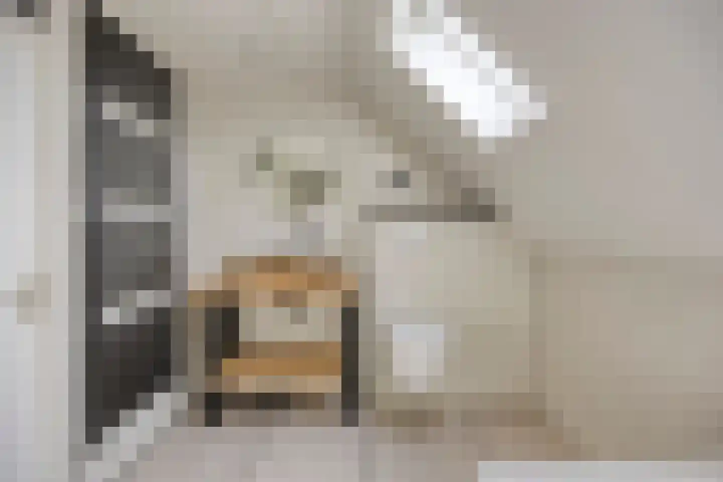 De Streng 12 Waarland thumbnail 23