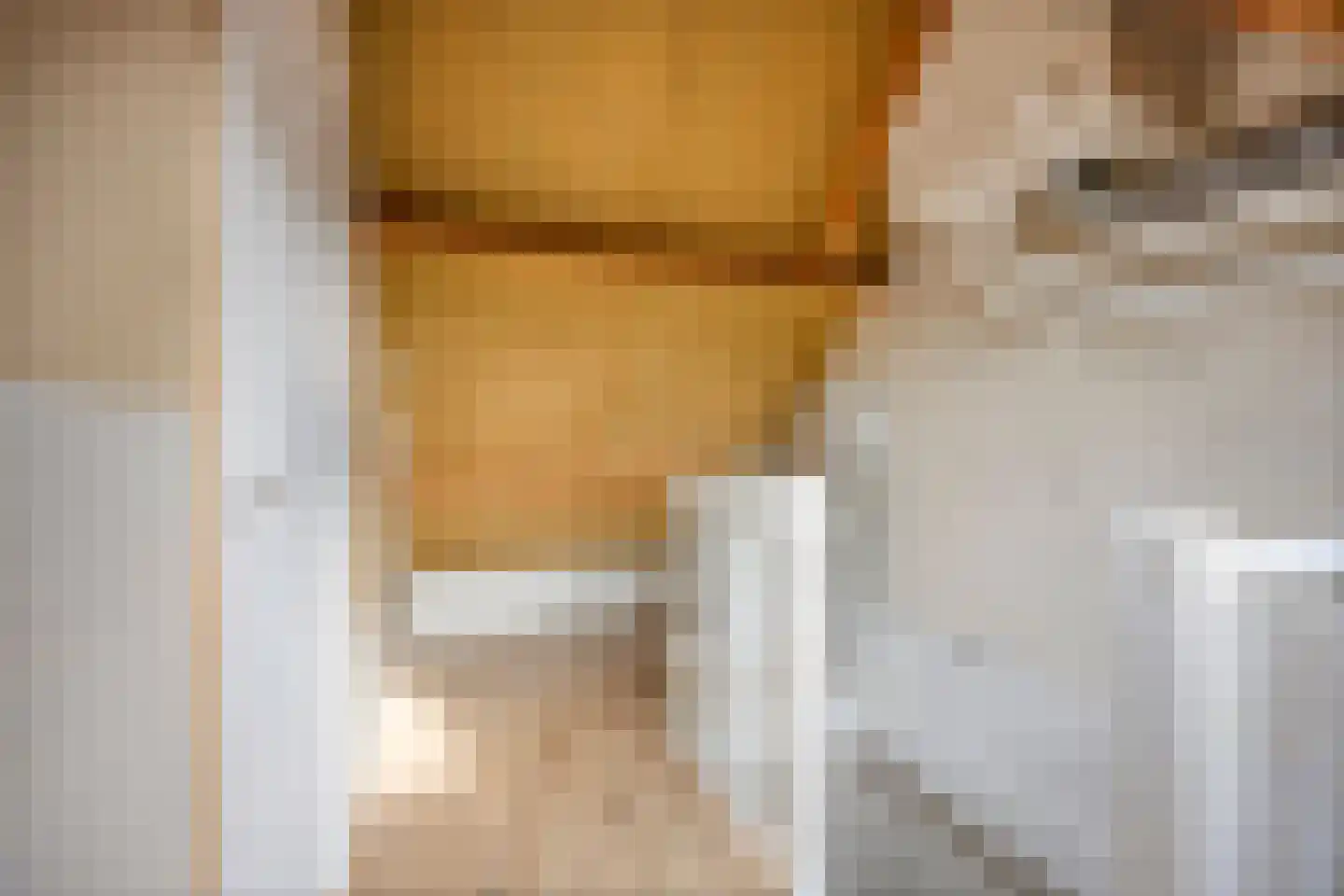 De Streng 12 Waarland thumbnail 25