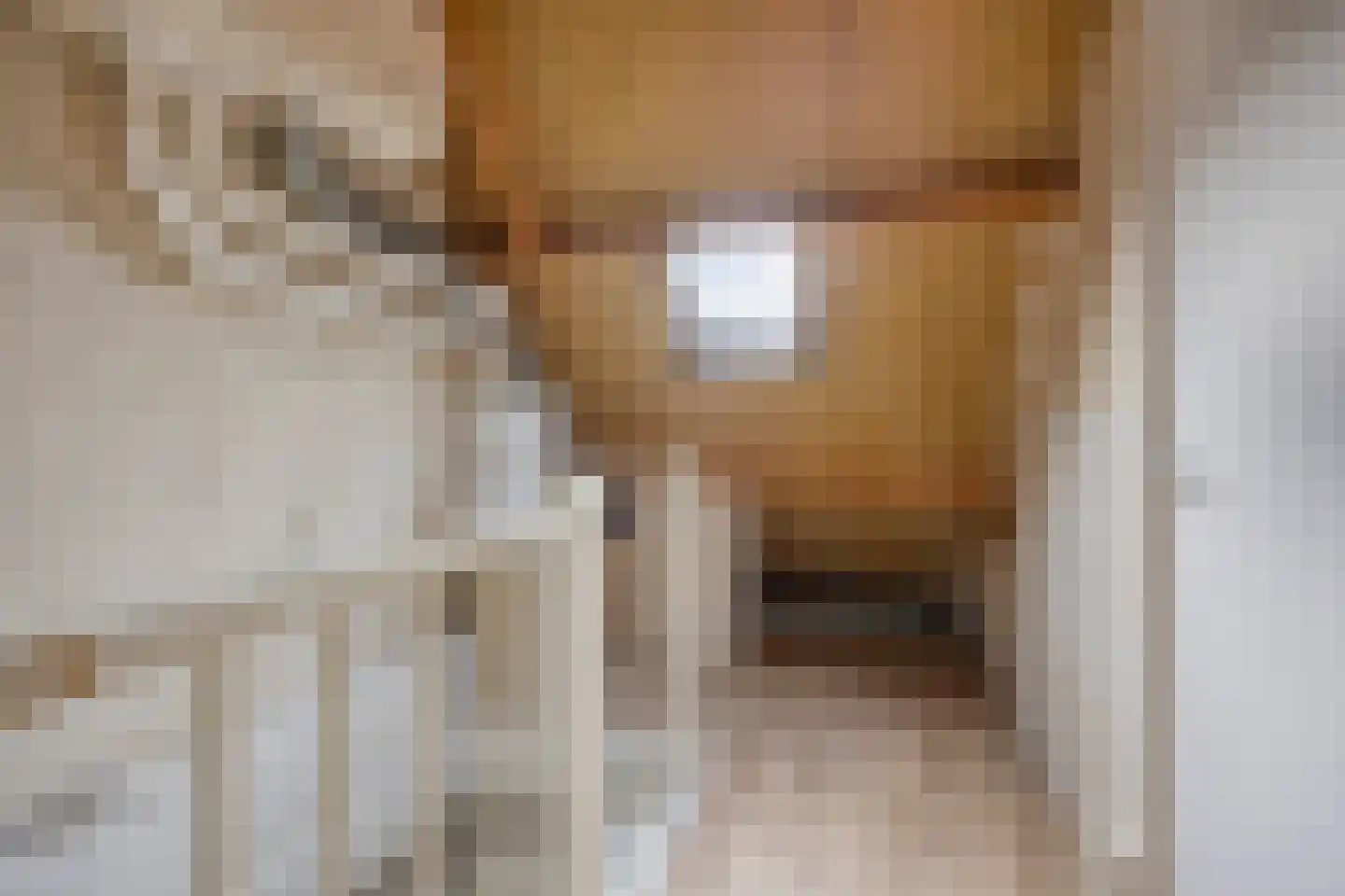 De Streng 12 Waarland thumbnail 26